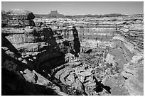 Curved Cedar Mesa sandstone canyons from the rim, Maze District. Canyonlands National Park, Utah, USA. (black and white)