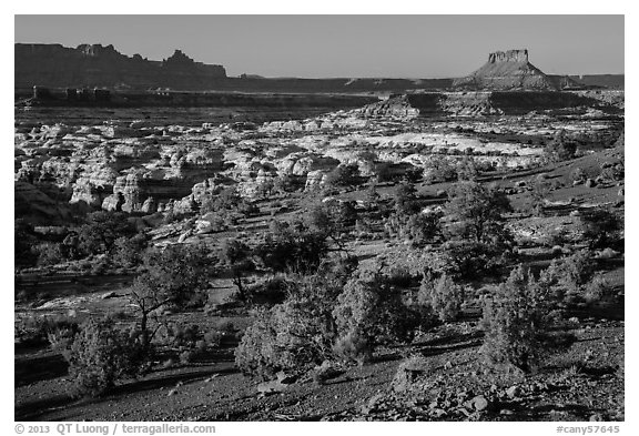 Maze seen from Chimney Rock, late afternoon. Canyonlands National Park, Utah, USA.