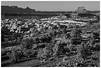 Maze seen from Chimney Rock, late afternoon. Canyonlands National Park, Utah, USA. (black and white)