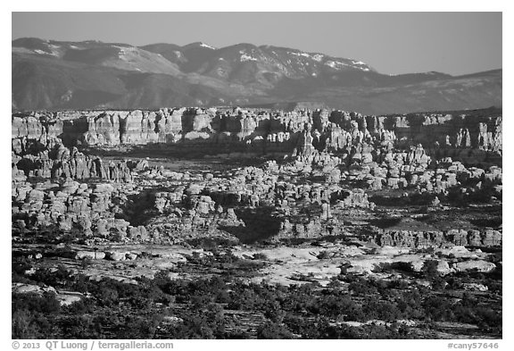 Needles seen from the Maze, late afternoon. Canyonlands National Park (black and white)