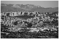 Needles seen from the Maze, late afternoon. Canyonlands National Park, Utah, USA. (black and white)