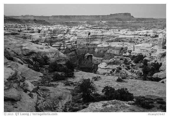 Shot Canyon at dusk, Maze District. Canyonlands National Park, Utah, USA.