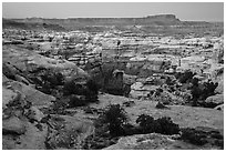 Shot Canyon at dusk, Maze District. Canyonlands National Park, Utah, USA. (black and white)