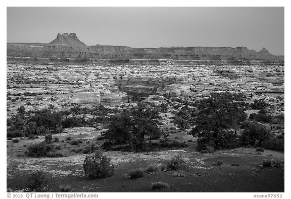 Maze and  Elaterite Butte seen at dawn from Standing Rock. Canyonlands National Park, Utah, USA.