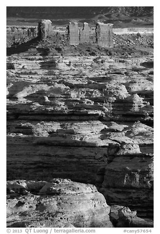 Maze canyons and Chocolate Drops. Canyonlands National Park (black and white)