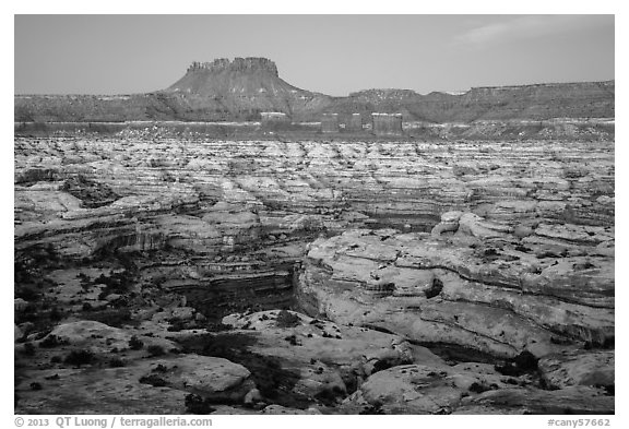 Maze and Chocolate Drops from Petes Mesa at dawn. Canyonlands National Park (black and white)