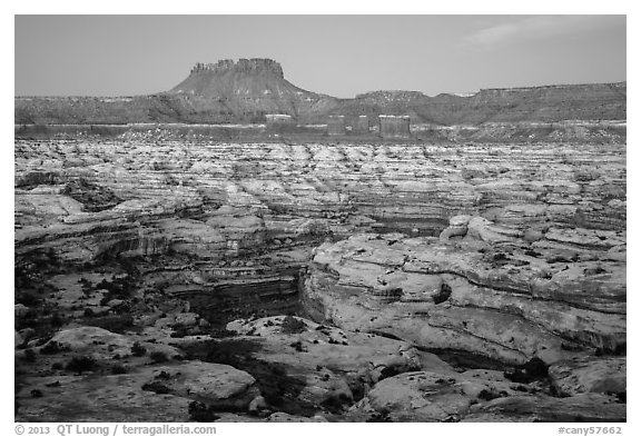 Maze and Chocolate Drops from Petes Mesa at dawn. Canyonlands National Park, Utah, USA.