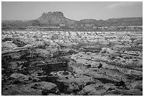 Maze and Chocolate Drops from Petes Mesa at dawn. Canyonlands National Park, Utah, USA. (black and white)