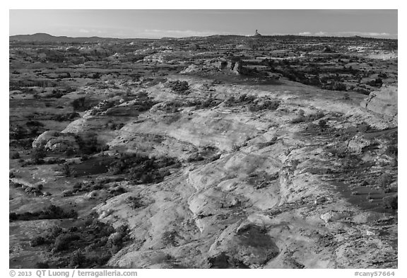 Jasper Canyon from Petes Mesa at sunrise, Maze District. Canyonlands National Park, Utah, USA.