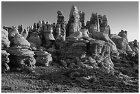 Dollhouse spires at sunrise, Maze District. Canyonlands National Park, Utah, USA. (black and white)