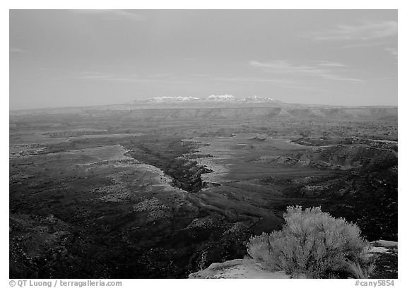 Side Gorge seen from Grand View Point, dusk, Island in the Sky. Canyonlands National Park (black and white)
