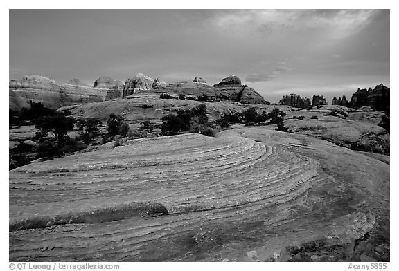 Sandstone swirls and Needles with last light, the Needles. Canyonlands National Park, Utah, USA.