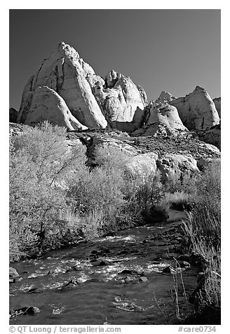 Freemont River and spring vegetation. Capitol Reef National Park (black and white)