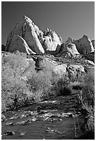 Freemont River and spring vegetation. Capitol Reef National Park, Utah, USA. (black and white)