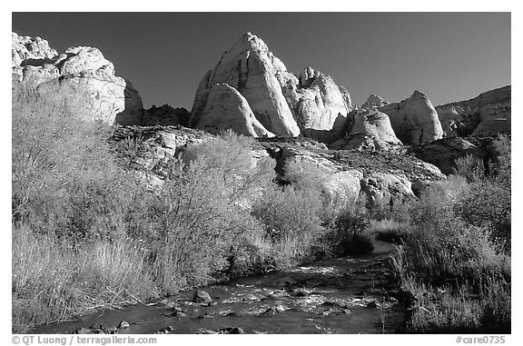 Freemont River and spring vegetation. Capitol Reef National Park (black and white)