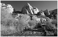 Freemont River and spring vegetation. Capitol Reef National Park, Utah, USA. (black and white)