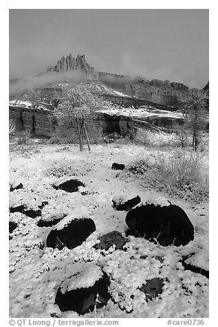 Castle Meadow and Castle, winter. Capitol Reef National Park, Utah, USA.