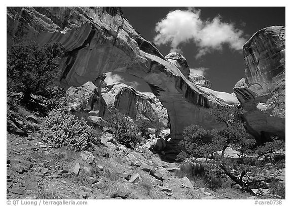 Hickman Bridge, 130 foot span. Capitol Reef National Park, Utah, USA.