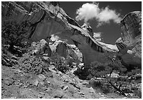 Hickman Bridge, 130 foot span. Capitol Reef National Park, Utah, USA. (black and white)