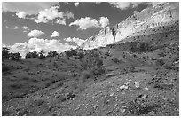 Wildflowers Waterpocket Fold, and clouds. Capitol Reef National Park, Utah, USA. (black and white)