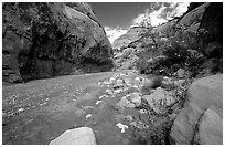 Wash in Capitol Gorge. Capitol Reef National Park, Utah, USA. (black and white)