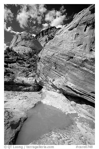 Pockets of water in Waterpocket Fold near Capitol Gorge. Capitol Reef National Park (black and white)