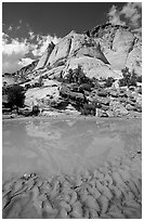 Pockets of water in Waterpocket Fold near Capitol Gorge. Capitol Reef National Park, Utah, USA. (black and white)