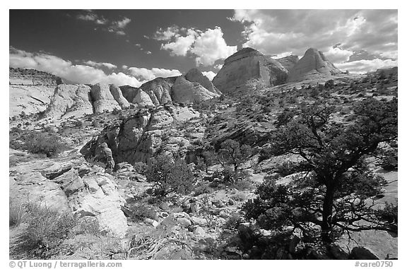 Plateau and domes above Capitol Gorge. Capitol Reef National Park, Utah, USA.