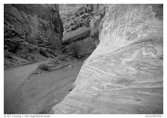 Rock walls, Capitol Gorge. Capitol Reef National Park, Utah, USA.