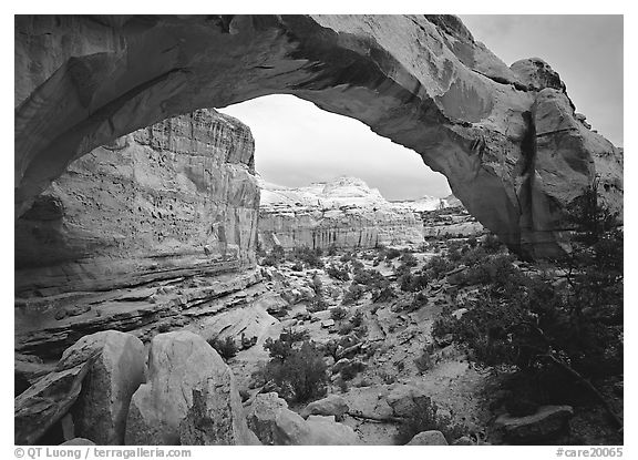 Hickman Bridge, mid-day. Capitol Reef National Park, Utah, USA.