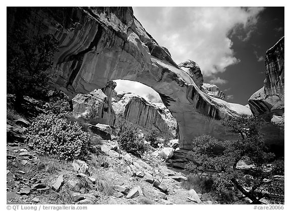 Hickman natural bridge from below. Capitol Reef National Park, Utah, USA.