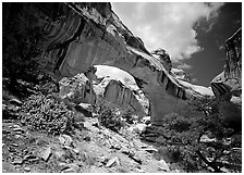 Hickman natural bridge from below. Capitol Reef National Park ( black and white)
