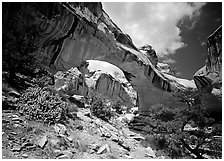 Hickman natural bridge from below. Capitol Reef National Park, Utah, USA. (black and white)