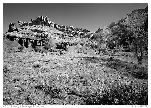 Castle Meadow and Castle, spring. Capitol Reef National Park, Utah, USA.