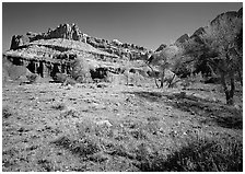 Castle Meadow and Castle, spring. Capitol Reef National Park, Utah, USA. (black and white)