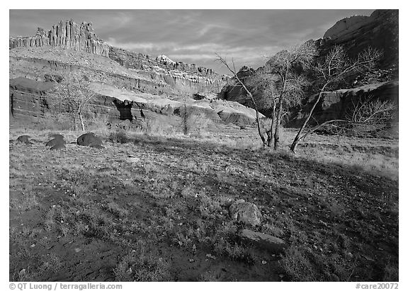 Castle Meadow and Castle, late autum morning. Capitol Reef National Park (black and white)