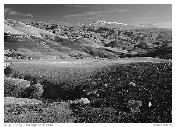 Bentonite hills and Henry Mountains. Capitol Reef National Park, Utah, USA.