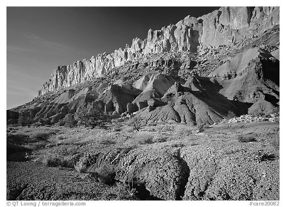 Wildflowers and Waterpocket fold, afternoon. Capitol Reef National Park (black and white)