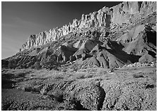 Wildflowers and Waterpocket Fold, afternoon. Capitol Reef National Park ( black and white)