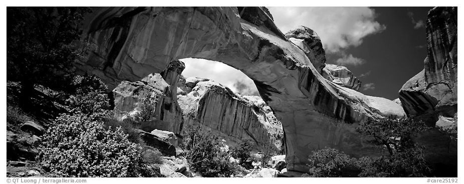 Hickman natural arch. Capitol Reef National Park (black and white)