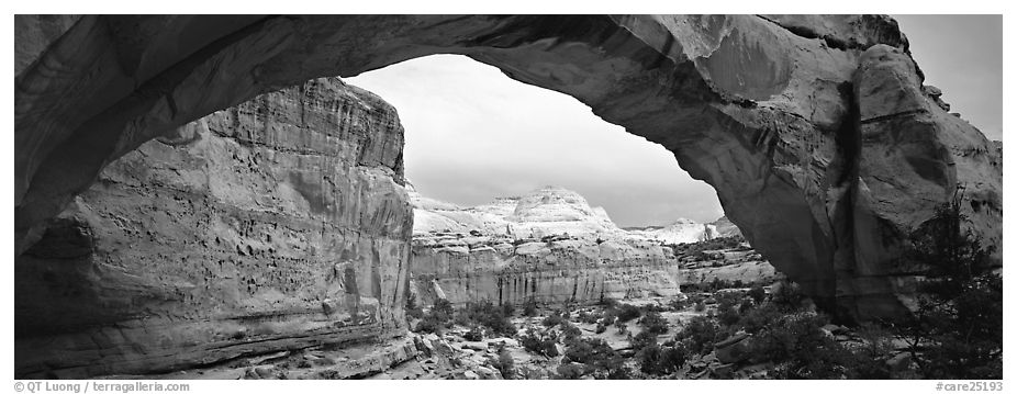 Hickman arch. Capitol Reef National Park (black and white)