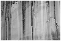 Sandstone cliff with desert varnish. Capitol Reef National Park ( black and white)