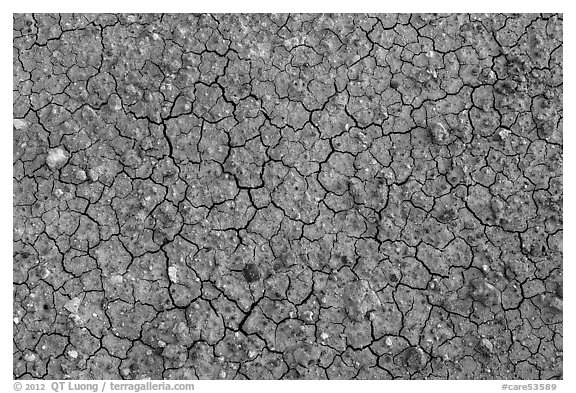 Mud cracks and rocks. Capitol Reef National Park (black and white)