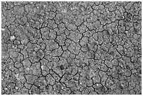 Mud cracks and rocks. Capitol Reef National Park ( black and white)