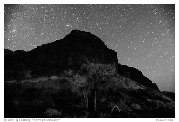 Trees and cliff by night. Capitol Reef National Park (black and white)