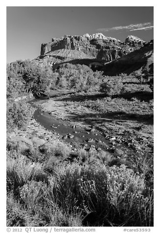 Stream and cliffs. Capitol Reef National Park (black and white)