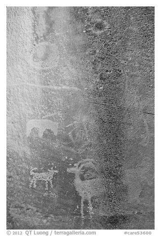 Fremont Petroglyphs. Capitol Reef National Park (black and white)