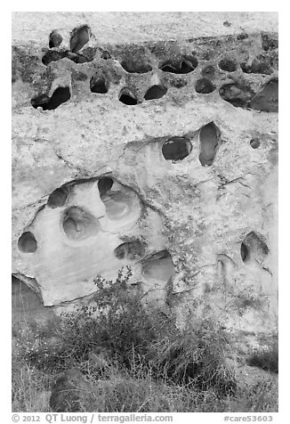Rock with holes, Fremont River gorge. Capitol Reef National Park (black and white)
