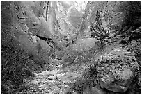 Surprise canyon. Capitol Reef National Park ( black and white)