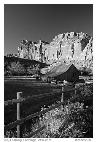 Fence, Old barn, horse and cliffs, Fruita. Capitol Reef National Park (black and white)